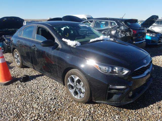 KIA FORTE FE 2019 3kpf24ad6ke118223