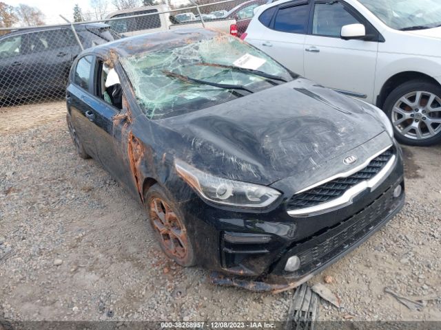 KIA FORTE 2019 3kpf24ad6ke130131