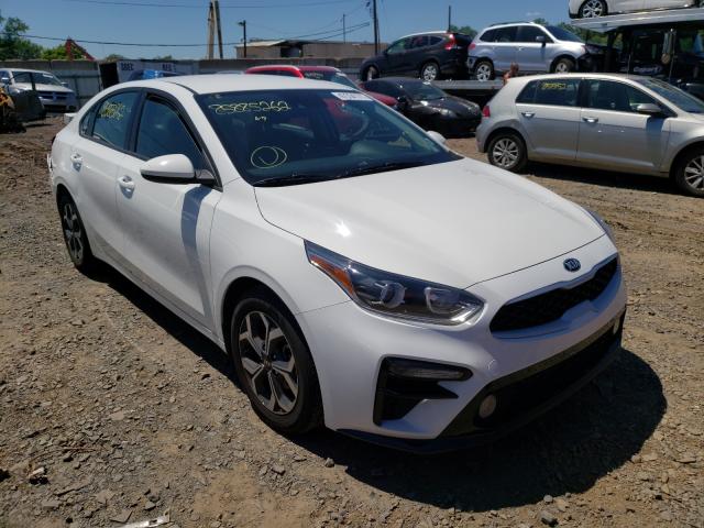 KIA FORTE FE 2019 3kpf24ad7ke005154