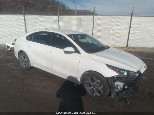 KIA FORTE 2019 3kpf24ad7ke005882