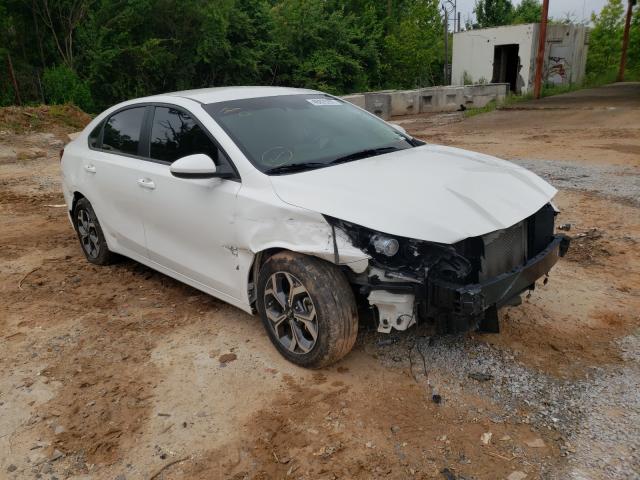 KIA FORTE FE 2019 3kpf24ad7ke006904