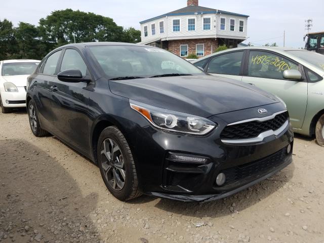 KIA FORTE FE 2019 3kpf24ad7ke033567