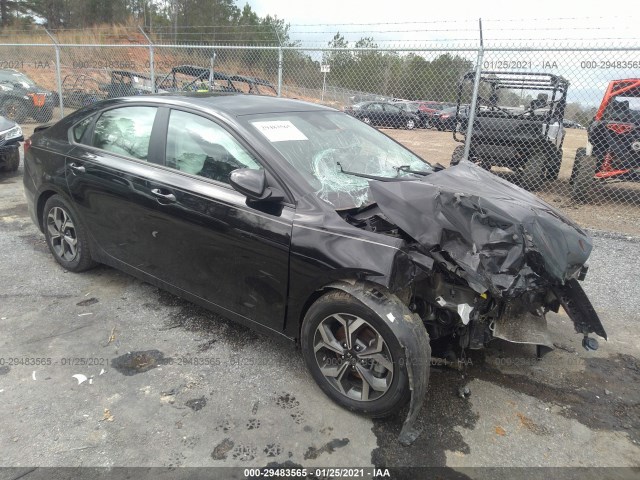 KIA FORTE 2019 3kpf24ad7ke033732