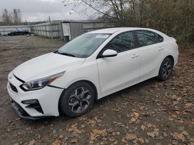 KIA FORTE FE 2019 3kpf24ad7ke036744