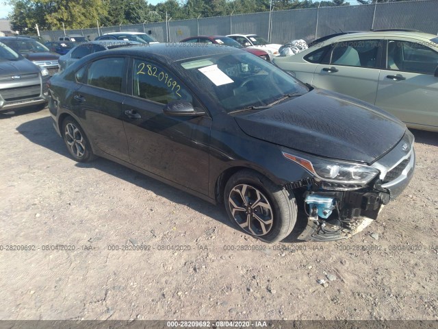 KIA FORTE 2019 3kpf24ad7ke040602