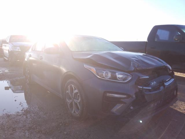 KIA FORTE FE 2019 3kpf24ad7ke040955