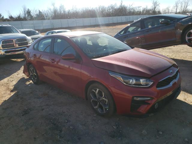 KIA FORTE FE 2019 3kpf24ad7ke056394