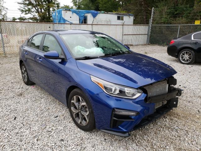 KIA FORTE FE 2019 3kpf24ad7ke059117