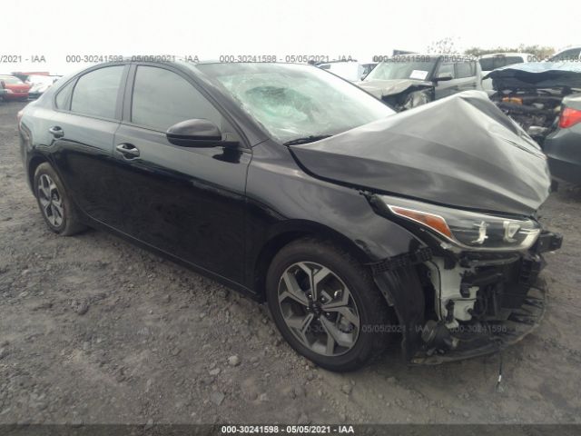 KIA FORTE 2019 3kpf24ad7ke073714