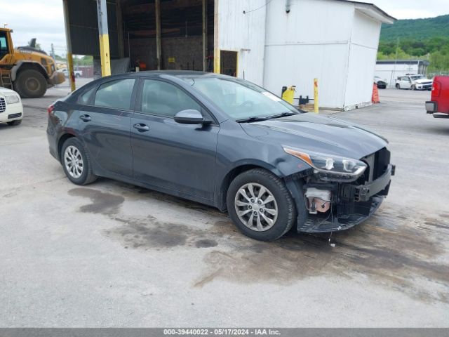 KIA FORTE 2019 3kpf24ad7ke079805