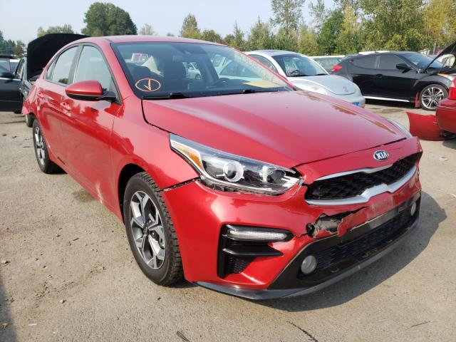 KIA FORTE FE 2019 3kpf24ad7ke083482