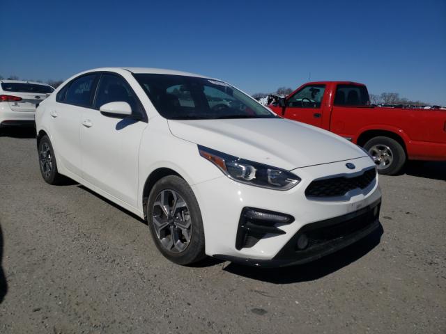 KIA FORTE FE 2019 3kpf24ad7ke104556