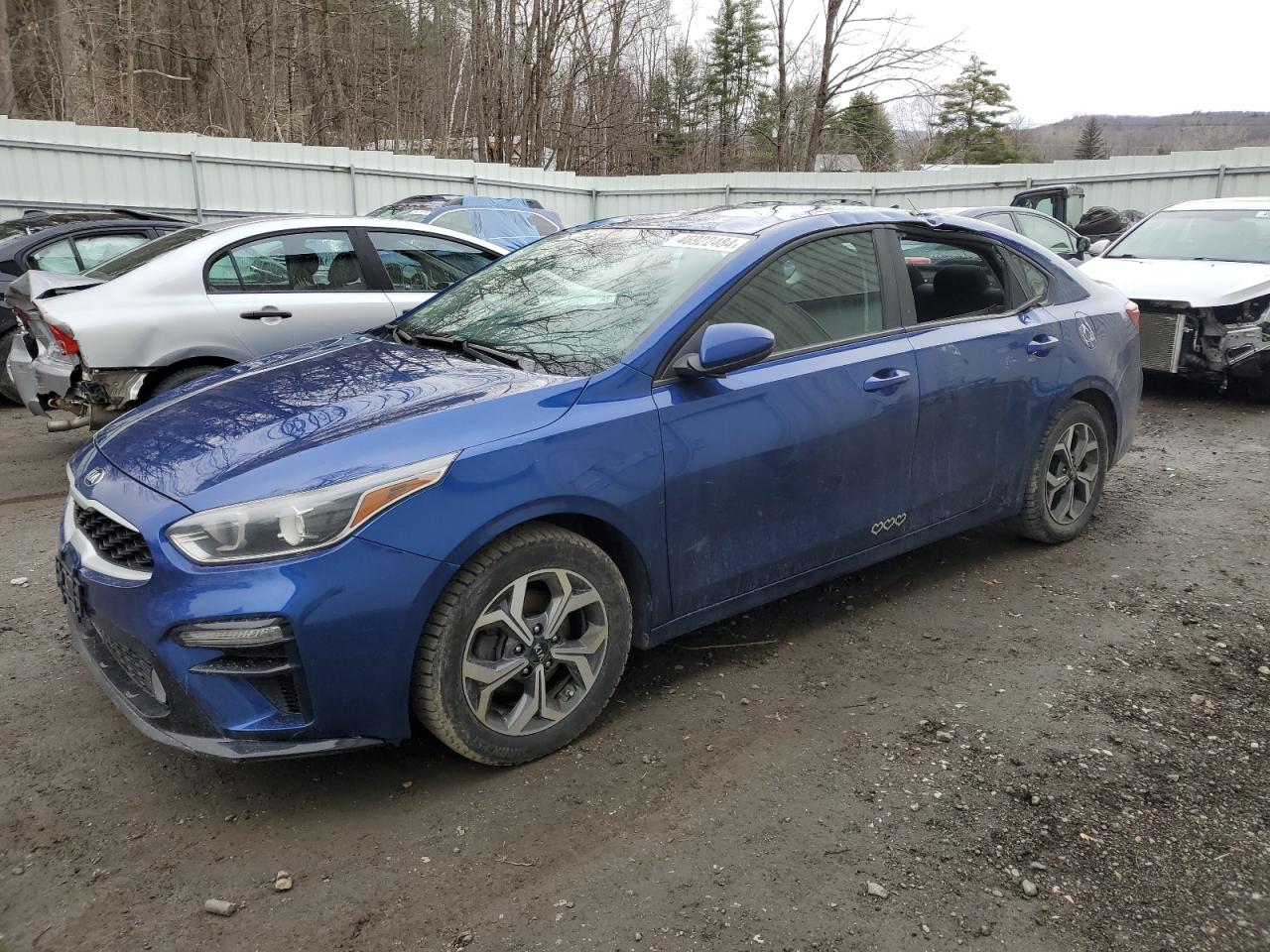 KIA FORTE 2019 3kpf24ad7ke104878