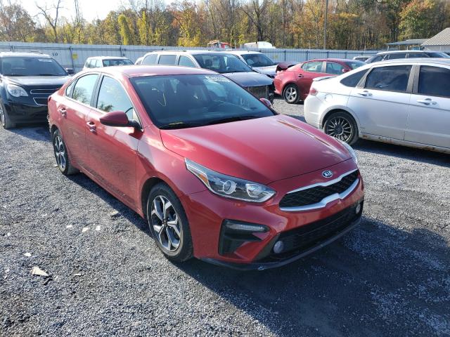 KIA FORTE FE 2019 3kpf24ad7ke104959