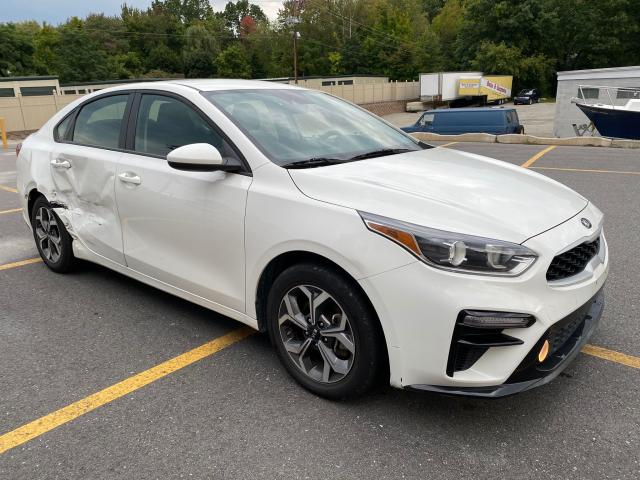 KIA FORTE FE 2019 3kpf24ad7ke113113