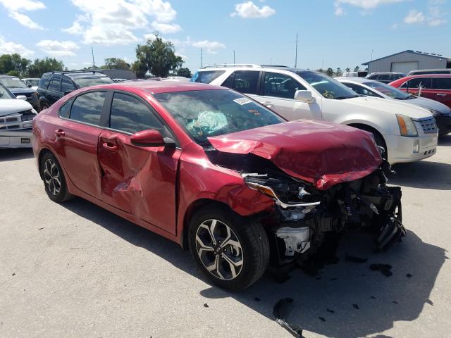 KIA FORTE FE 2019 3kpf24ad7ke116402