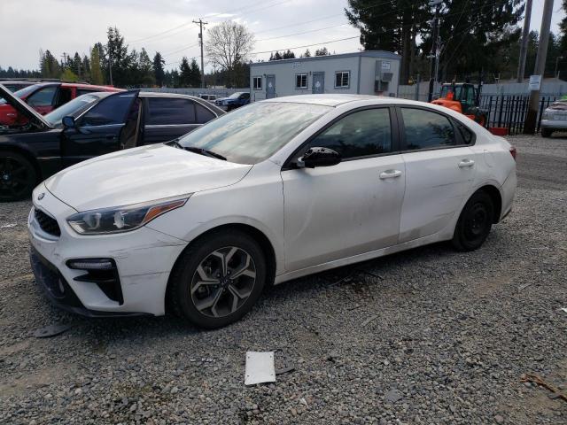 KIA FORTE FE 2019 3kpf24ad7ke119770