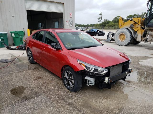 KIA FORTE FE 2019 3kpf24ad7ke120448