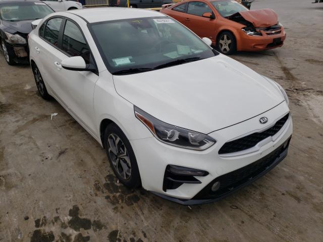 KIA FORTE FE 2019 3kpf24ad7ke120868