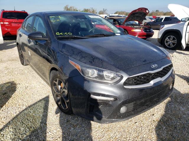 KIA FORTE FE 2019 3kpf24ad7ke123429