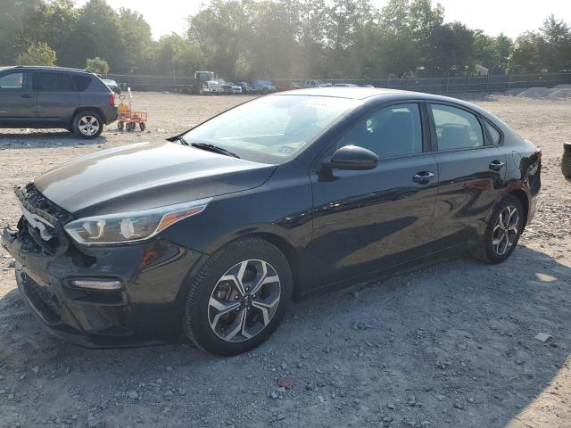 KIA FORTE FE 2019 3kpf24ad7ke124824