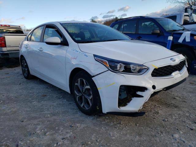 KIA FORTE FE 2019 3kpf24ad7ke125021