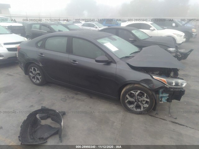 KIA FORTE 2019 3kpf24ad7ke125827