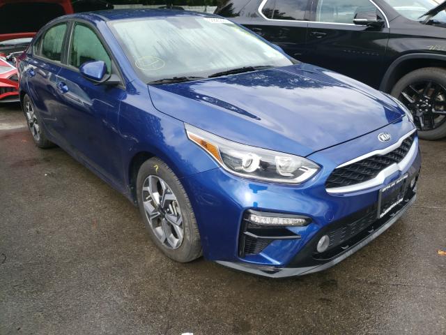 KIA FORTE FE 2019 3kpf24ad7ke131093