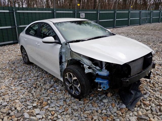 KIA FORTE FE 2019 3kpf24ad7ke131580