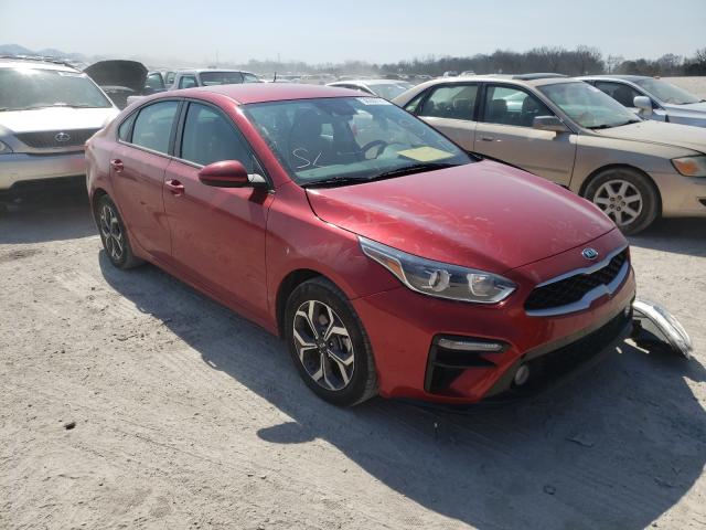 KIA FORTE FE 2019 3kpf24ad7ke132664