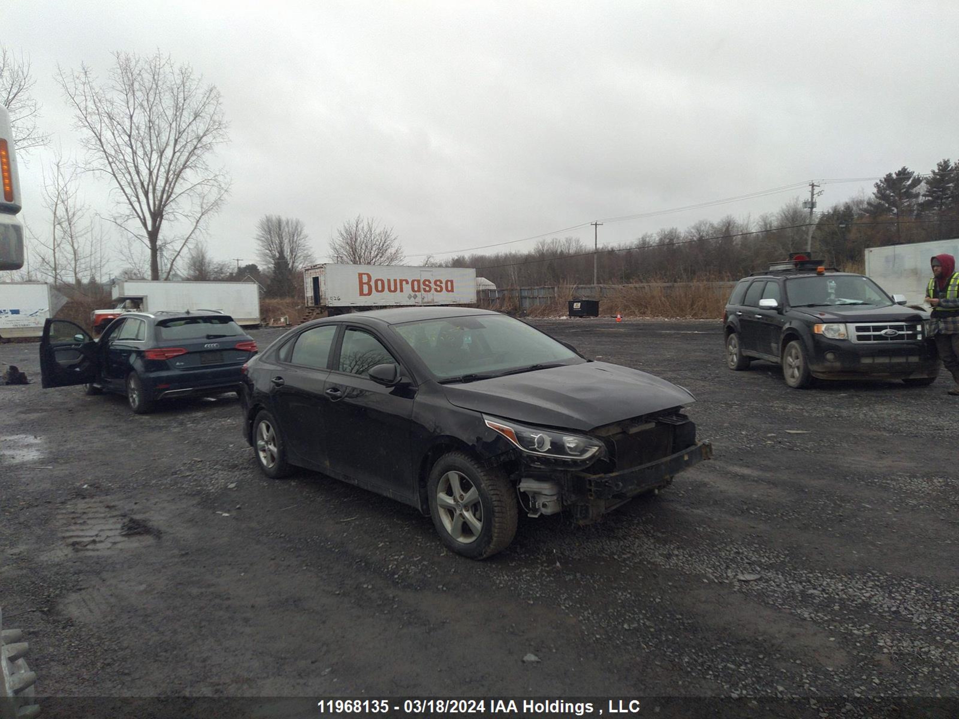 KIA FORTE 2019 3kpf24ad7ke134446