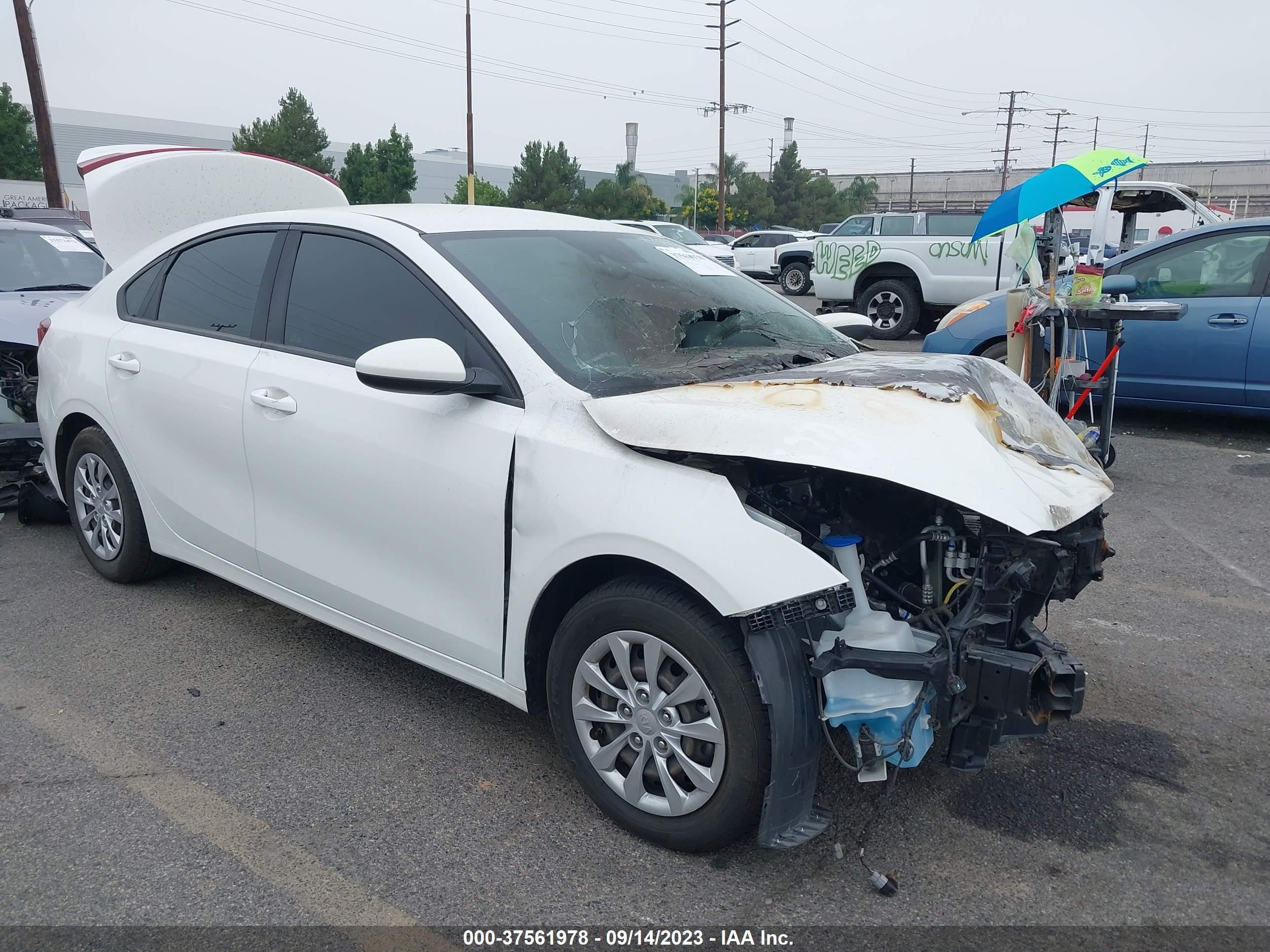 KIA FORTE 2020 3kpf24ad7le181865