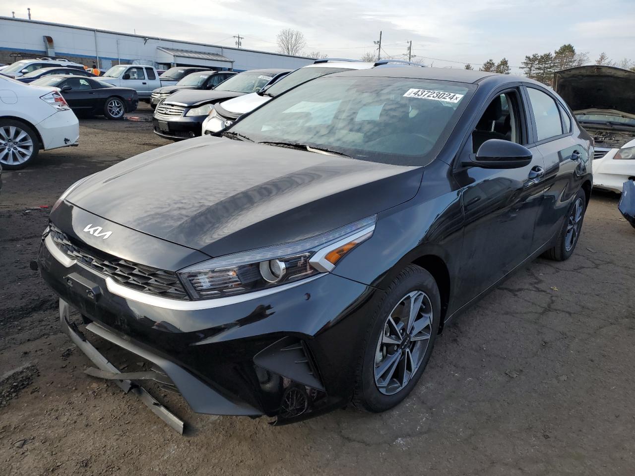 KIA FORTE 2023 3kpf24ad7pe691834