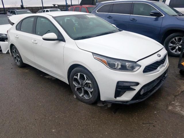 KIA FORTE FE 2019 3kpf24ad8ke011349