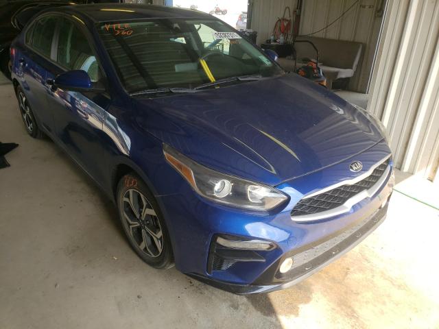 KIA FORTE FE 2019 3kpf24ad8ke013442