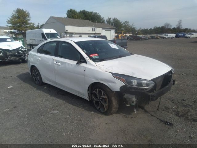 KIA FORTE 2019 3kpf24ad8ke022190