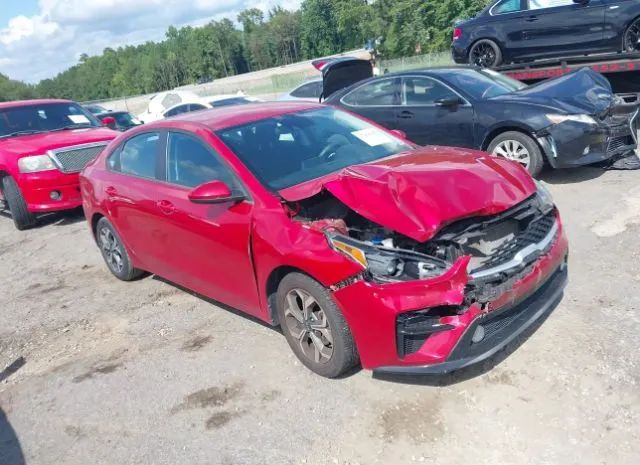 KIA FORTE 2019 3kpf24ad8ke022996