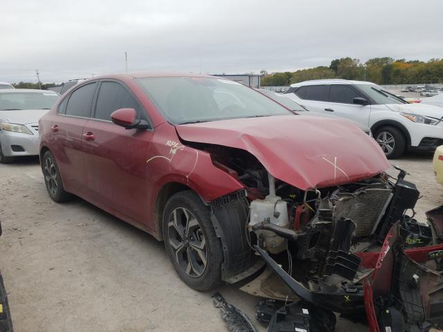 KIA FORTE FE 2019 3kpf24ad8ke027258