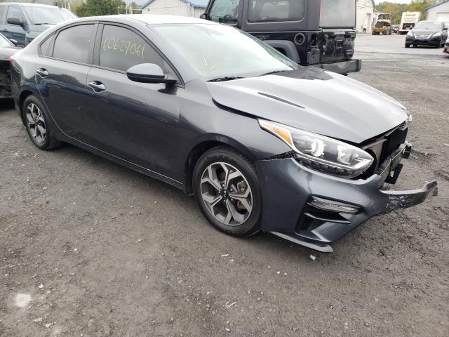 KIA FORTE FE 2019 3kpf24ad8ke030435