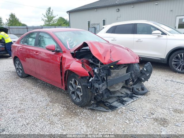 KIA FORTE 2019 3kpf24ad8ke036686