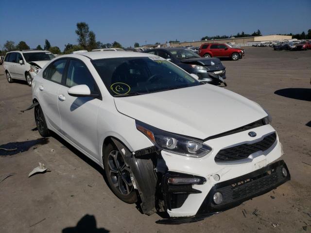 KIA FORTE FE 2019 3kpf24ad8ke043203