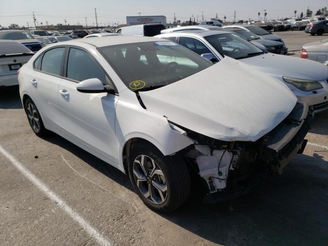 KIA FORTE FE 2019 3kpf24ad8ke048823