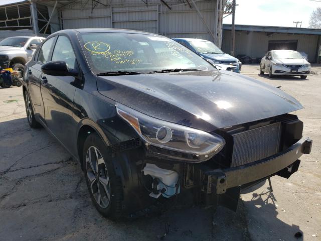 KIA FORTE FE 2019 3kpf24ad8ke052936