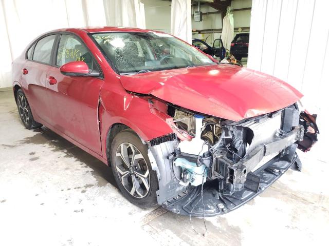 KIA FORTE FE 2019 3kpf24ad8ke059174