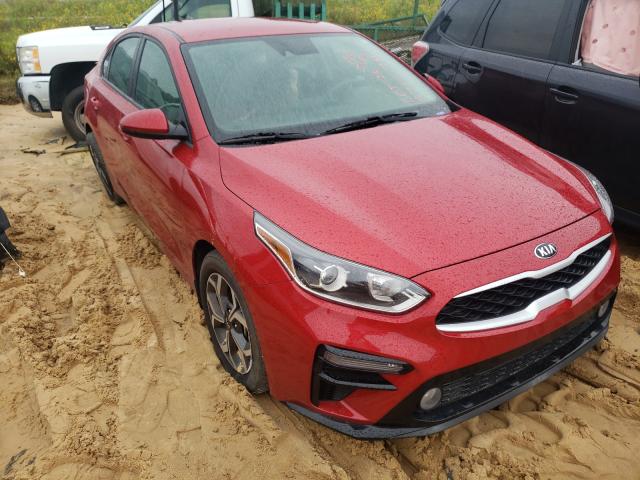 KIA FORTE FE 2019 3kpf24ad8ke061703