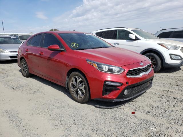 KIA FORTE FE 2019 3kpf24ad8ke062057