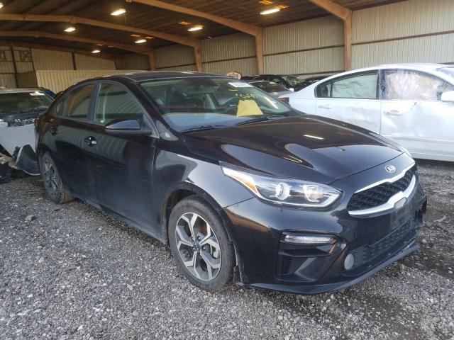 KIA FORTE FE 2019 3kpf24ad8ke065573