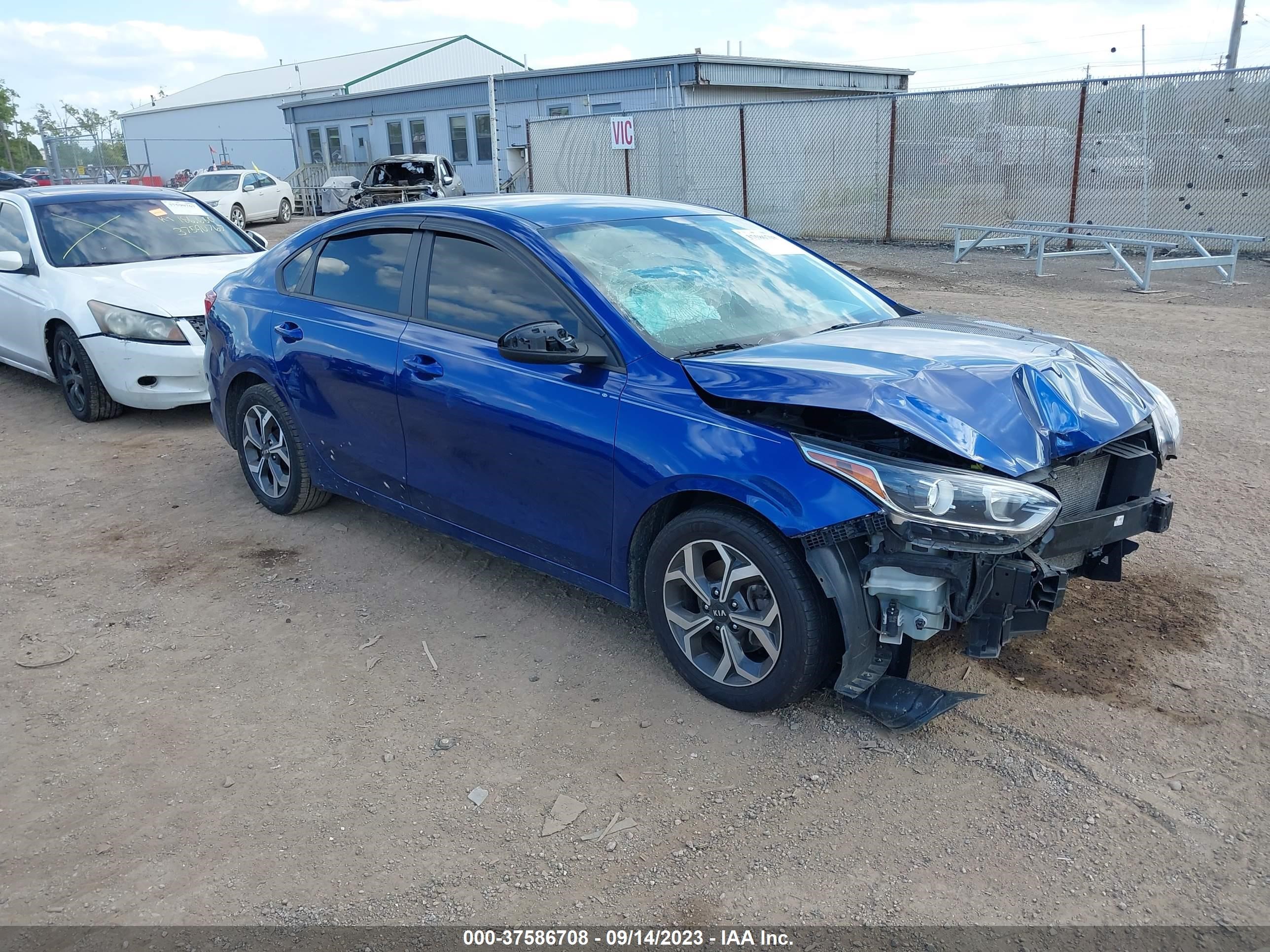 KIA FORTE 2019 3kpf24ad8ke074046