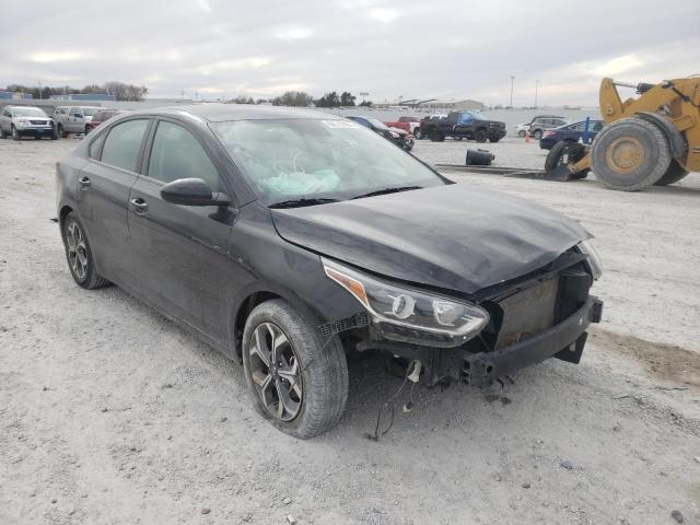 KIA FORTE FE 2019 3kpf24ad8ke076881