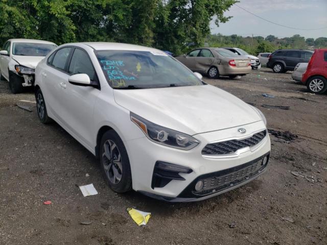 KIA FORTE FE 2019 3kpf24ad8ke079196